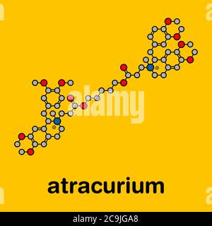 Atracurium muscolo scheletrico rilassante farmaco. Utilizzato come coadiuvante in anestesia e per indurre rilassamento muscolare scheletrico durante l'intervento chirurgico. Scheletrico stilizzato fo Foto Stock