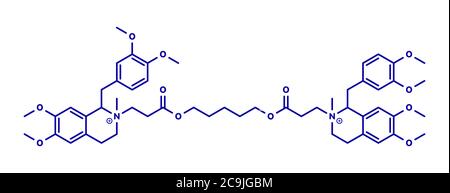 Atracurium muscolo scheletrico rilassante farmaco. Utilizzato come coadiuvante in anestesia e per indurre rilassamento muscolare scheletrico durante l'intervento chirurgico. Forma scheletrica blu Foto Stock