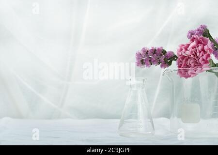 fiore naturale rosa viola con bicchiere in vaso di vetro scientifico su fondo bianco del laboratorio cosmetico Foto Stock