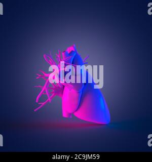 Il cuore umano, illustrazione del computer. Foto Stock