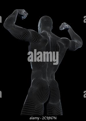 Anatomia maschile, illustrazione del computer. Foto Stock