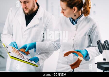 Giovane archeologo che confronta i colori della ceramica con lo schema a colori in laboratorio. Foto Stock