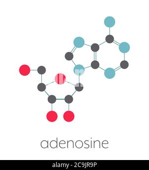 Molecola nucleosidica di adenosina (Ado) purina. Componente importante di ATP, ADP, Camp e RNA. Usato anche come farmaco. Formula scheletrica stilizzata (Stru chimico Foto Stock