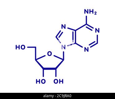 Molecola nucleosidica di adenosina (Ado) purina. Componente importante di ATP, ADP, Camp e RNA. Usato anche come farmaco. Formula scheletrica blu su sfondo bianco Foto Stock