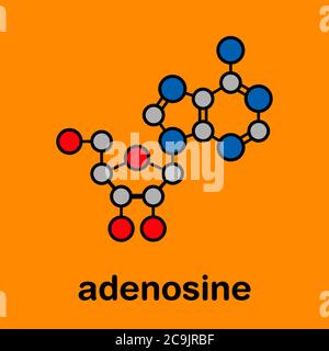 Molecola nucleosidica di adenosina (Ado) purina. Componente importante di ATP, ADP, Camp e RNA. Usato anche come farmaco. Formula scheletrica stilizzata (Stru chimico Foto Stock