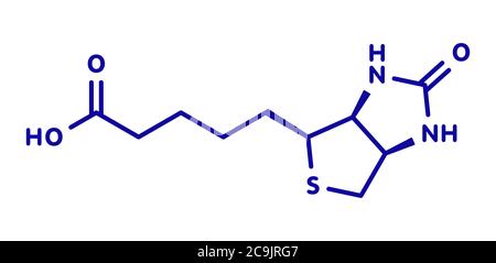 Molecola di vitamina B7 (biotina). Formula scheletrica blu su sfondo bianco. Foto Stock