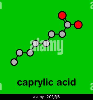 Caprilico (ottanoico acido) molecola. Saturo comune di acidi grassi a media catena. Stilizzata di scheletro di formula (struttura chimica). Gli atomi sono mostrati come colore- Foto Stock