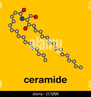 Molecola lipidica della membrana cellulare ceramidica. Formula scheletrica stilizzata (struttura chimica): Gli atomi sono mostrati come cerchi codificati a colori con un profilo nero spesso Foto Stock