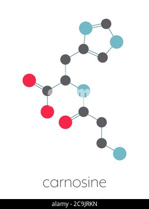 Molecola di supplemento alimentare di carnosina (L-carnosina). Formula scheletrica stilizzata (struttura chimica): Gli atomi sono mostrati come cerchi codificati a colori collegati da Foto Stock