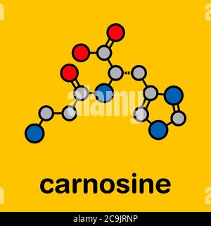 Molecola di supplemento alimentare di carnosina (L-carnosina). Formula scheletrica stilizzata (struttura chimica): Gli atomi sono indicati come cerchi codificati a colori con bl spesso Foto Stock