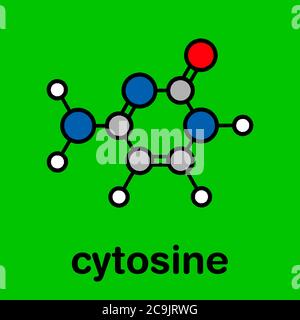Componente della citosina pirimidina nucleobasi. Una delle basi trovate nel DNA e nell'RNA. Formula scheletrica stilizzata (struttura chimica). Gli atomi sono mostrati come co Foto Stock