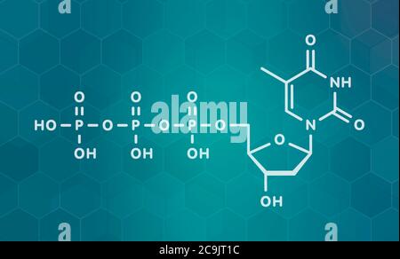 Molecola nucleotidica di timidina trifosfato (TTP). Blocco di costruzione del DNA. Formula scheletrica bianca su sfondo scuro del gradiente teale con pattern esagonale. Foto Stock