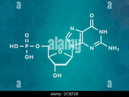 Molecola nucleotidica di deossiguanosina monofosfato (dGMP). Blocco di costruzione del DNA. Formula scheletrica bianca su sfondo scuro del gradiente teale con pa esagonale Foto Stock