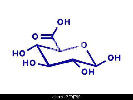 Acido glucuronico molecola. La glucuronizzazione di xenobiotici svolge ruolo nel metabolismo del farmaco, dando glicuronidi. Blu formula scheletrico su sfondo bianco Foto Stock