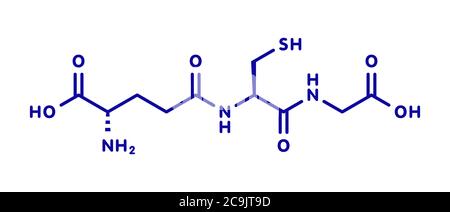 Molecola di glutatione (glutatione ossidato, GSSG). Formula scheletrica blu su sfondo bianco. Foto Stock