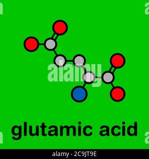 Acido glutammico (acido l-glutammico, Glu, e) amminoacido e molecola neurotrasmettitore. Formula scheletrica stilizzata (struttura chimica). Gli atomi sono mostrati come c Foto Stock