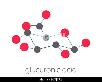 Acido glucuronico molecola. La glucuronizzazione di xenobiotici svolge ruolo nel metabolismo del farmaco, dando glicuronidi. Stilizzata di scheletro di formula (struc chimico Foto Stock