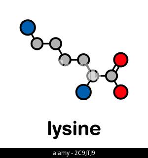 Molecola aminoacidica di lisina (l-lisina, Lys, K). Formula scheletrica stilizzata (struttura chimica). Gli atomi vengono visualizzati come cerchi con codice colore e nero spesso Foto Stock