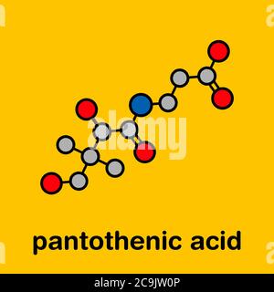 Molecola di vitamina B5 (acido pantotenico, pantotenato). Formula scheletrica stilizzata (struttura chimica). Gli atomi sono mostrati come cerchi codificati con colori con il thic Foto Stock