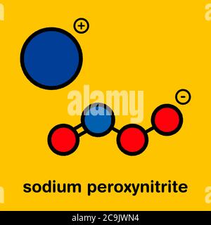 Il perossinitrito (sodio) specie reattive di azoto molecola. Formata mediante la reazione dei radicali liberi di ossido nitrico e superossido nel corpo umano. Foto Stock