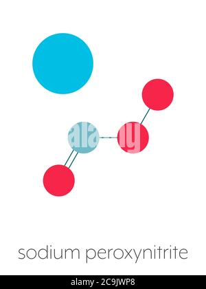 Il perossinitrito (sodio) specie reattive di azoto molecola. Formata mediante la reazione dei radicali liberi di ossido nitrico e superossido nel corpo umano. Foto Stock