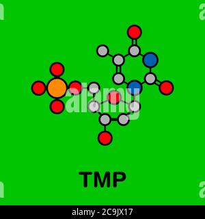 Molecola nucleotidica di timidina monofosfato (TMP, timidilato). Blocco di costruzione del DNA. Formula scheletrica stilizzata (struttura chimica). Gli atomi sono mostrati come Foto Stock