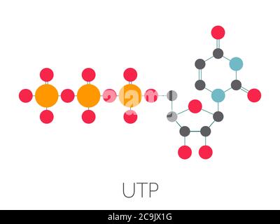 Molecola nucleotidica uridina trifosfato (UTP). Blocco di base dell'RNA. Formula scheletrica stilizzata (struttura chimica). Gli atomi vengono visualizzati con codice colore Foto Stock