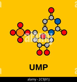 Molecola nucleotidica di uridina monofosfato (UMP, acido uridilico). Blocco di base dell'RNA. Formula scheletrica stilizzata (struttura chimica). Gli atomi sono mostrati Foto Stock