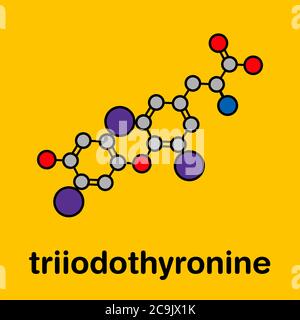 Triiodotironina (T3, liotironina) molecola di ormone tiroideo. Ormone della ghiandola pituitaria. Usato anche come farmaco per trattare l'ipotiroidismo. Scheletrico stilizzato fo Foto Stock