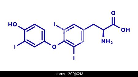 Triiodotironina (T3, liotironina) molecola di ormone tiroideo. Ormone della ghiandola pituitaria. Usato anche come farmaco per trattare l'ipotiroidismo. Forma scheletrica blu Foto Stock