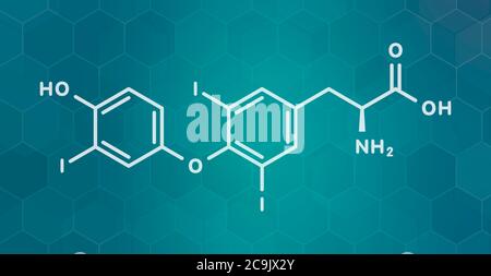 Triiodotironina (T3, liotironina) molecola di ormone tiroideo. Ormone della ghiandola pituitaria. Usato anche come farmaco per trattare l'ipotiroidismo. Formu scheletrico bianco Foto Stock