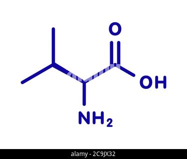Molecola aminoacidica valina (l-valina, Val, V). Formula scheletrica blu su sfondo bianco. Foto Stock
