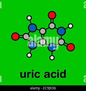 Molecola di acido urico. Alti livelli di sangue portano a gotta malattia. Formula scheletrica stilizzata (struttura chimica). Gli atomi vengono visualizzati come cerchi codificati a colori Foto Stock