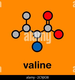 Molecola aminoacidica valina (l-valina, Val, V). Formula scheletrica stilizzata (struttura chimica). Gli atomi vengono visualizzati come cerchi con codice colore e nero spesso Foto Stock