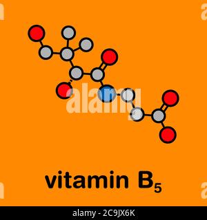Molecola di vitamina B5 (acido pantotenico, pantotenato). Formula scheletrica stilizzata (struttura chimica). Gli atomi sono mostrati come cerchi codificati con colori con il thic Foto Stock