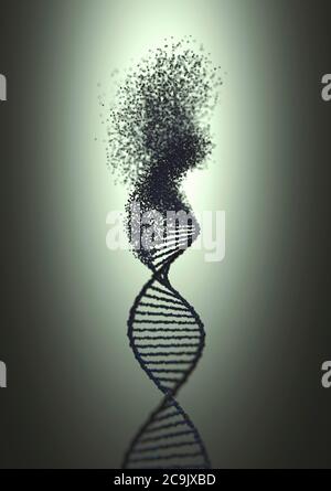 Il danno al DNA, illustrazione. Foto Stock