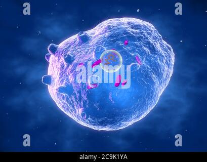 Chlamydia trachomatis batterium, illustrazione del computer. Chlamydia trachomatis causa un'infezione sessualmente trasmessa che può andare non rilevata causando me Foto Stock