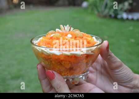 Vista laterale di Gajar ka Halwa, o Carrot Halwa, un popolare dessert indiano, pakistano dolce piatto, fatto di carote grattugiate. Noci di iwth guarnite, pistola, Foto Stock