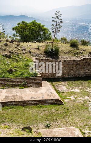 Un'agave punta di fiori sul campo da palla più grande nelle rovine della città di Zapotec di Atzompa, vicino a Oaxaca, Messico. Foto Stock