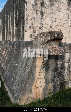 Una testa di pietra scolpita di giaguaro sul muro della Corte Grande palla nelle rovine della grande città maya di Chichen Itza, Yucatan, Messico. Il Pre-Hispani Foto Stock