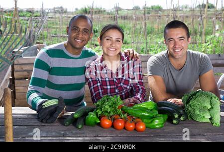 Giardinieri professionisti che parlano dopo la raccolta di verdure in giardino Foto Stock