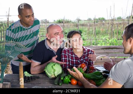 Posivo giardinieri professionisti che parlano dopo la raccolta di verdure in giardino Foto Stock