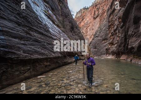 L'escursione in filari nel parco nazionale di Zion prevede passeggiate e guadi attraverso il fiume vergine in fondo a uno splendido canyon. Foto Stock