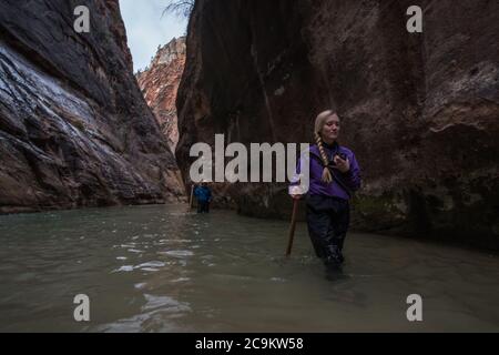 L'escursione in filari nel parco nazionale di Zion prevede passeggiate e guadi attraverso il fiume vergine in fondo a uno splendido canyon. Foto Stock