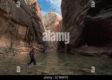 L'escursione in filari nel parco nazionale di Zion prevede passeggiate e guadi attraverso il fiume vergine in fondo a uno splendido canyon. Foto Stock