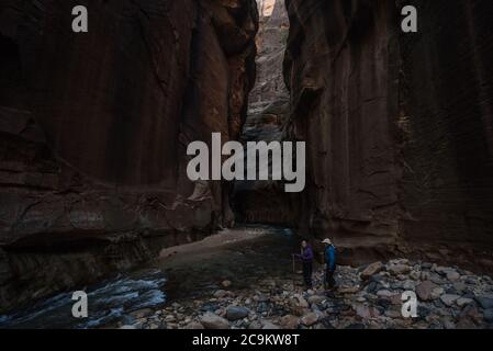 L'escursione in filari nel parco nazionale di Zion prevede passeggiate e guadi attraverso il fiume vergine in fondo a uno splendido canyon. Foto Stock