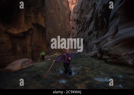 L'escursione in filari nel parco nazionale di Zion prevede passeggiate e guadi attraverso il fiume vergine in fondo a uno splendido canyon. Foto Stock