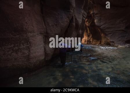 L'escursione in filari nel parco nazionale di Zion prevede passeggiate e guadi attraverso il fiume vergine in fondo a uno splendido canyon. Foto Stock