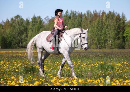 La bambina in rosa corre un cavallo bianco in giornata di sole Foto Stock