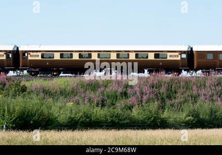 Statesman Rail Mk2 Open First Pullman Carriage "Ingleborough" come parte di un treno ferroviario, Warwickshire, Regno Unito Foto Stock